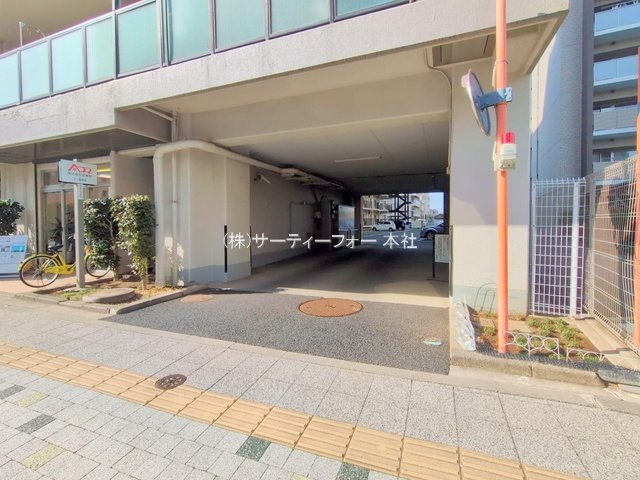 撮影日(2025-03-25 00:00:00)