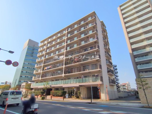 撮影日(2025-03-25 00:00:00)