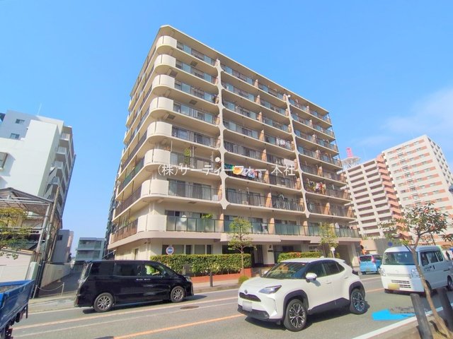撮影日(2025-03-25 00:00:00)