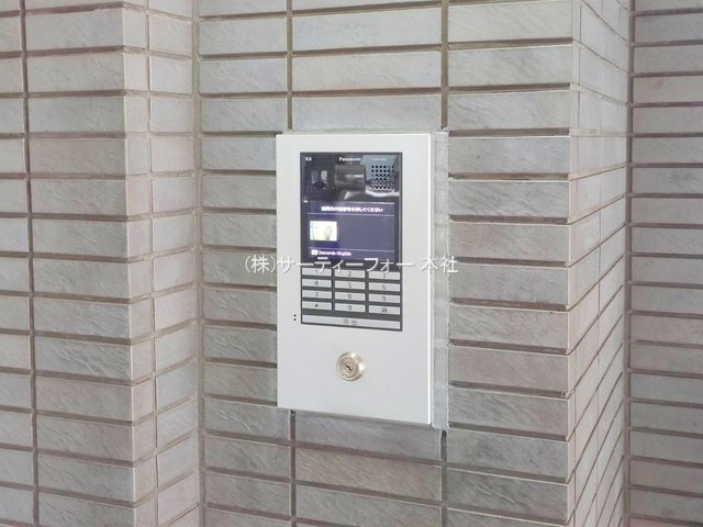 撮影日(2025-03-24 00:00:00)