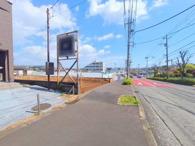 撮影日(2025-04-15 00:00:00)