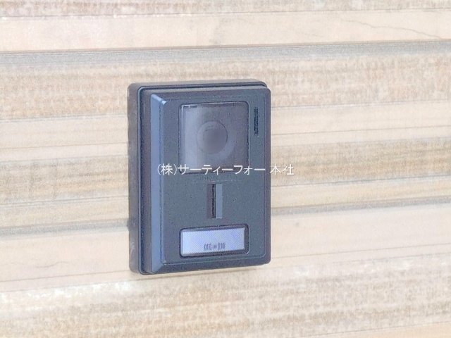撮影日(2025-04-23 00:00:00)