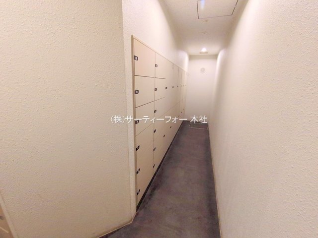 撮影日(2025-04-11 00:00:00)