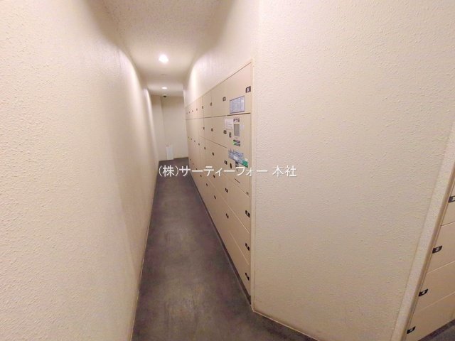 撮影日(2025-04-11 00:00:00)