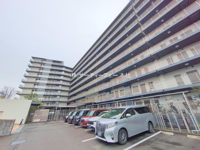 撮影日(2025-04-11 00:00:00)