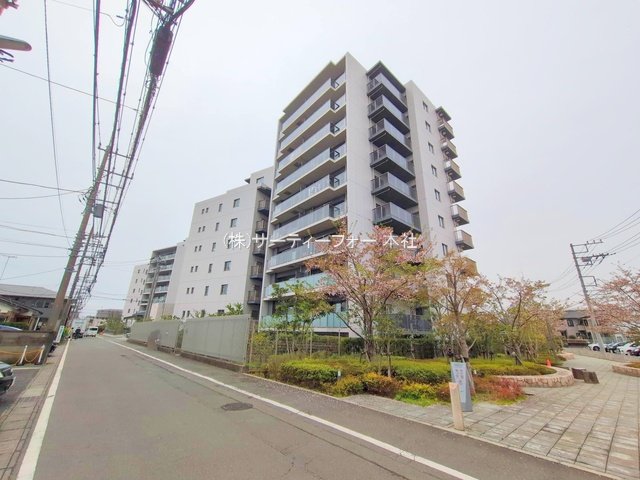 撮影日(2025-04-11 00:00:00)