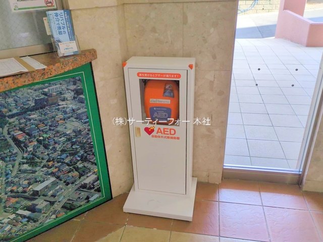 撮影日(2025-04-17 00:00:00)