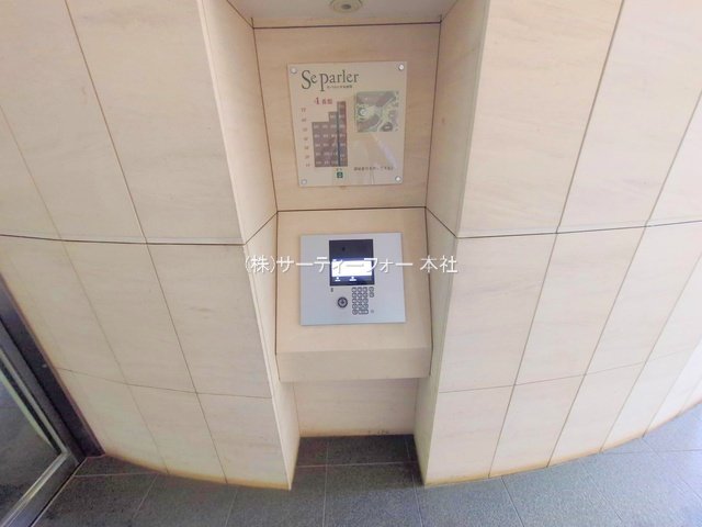 撮影日(2025-04-19 00:00:00)