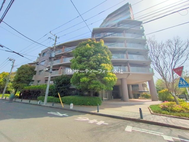撮影日(2025-04-19 00:00:00)