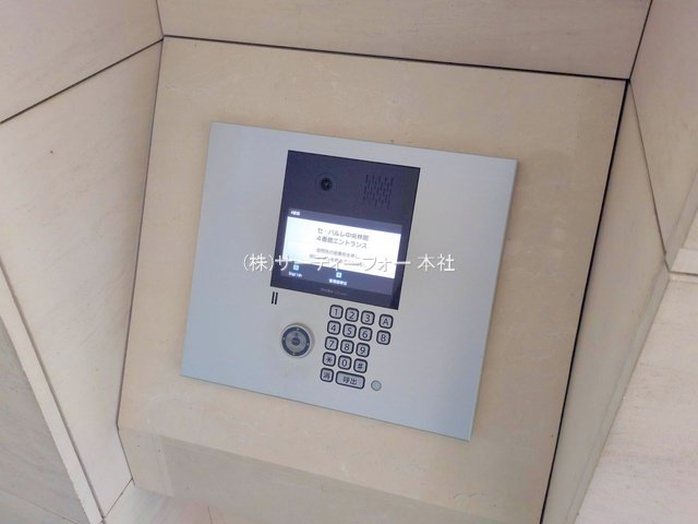 撮影日(2025-04-19 00:00:00)
