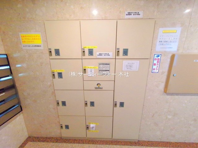 撮影日(2025-04-24 00:00:00)