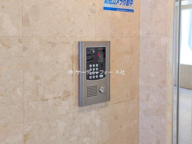撮影日(2025-04-24 00:00:00)