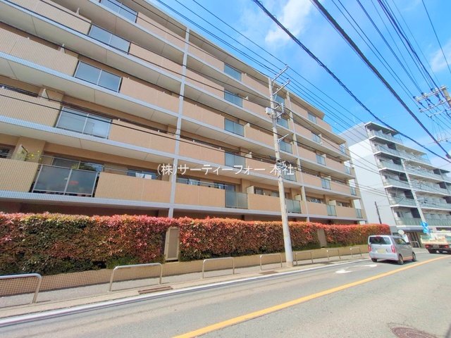 撮影日(2025-04-24 00:00:00)