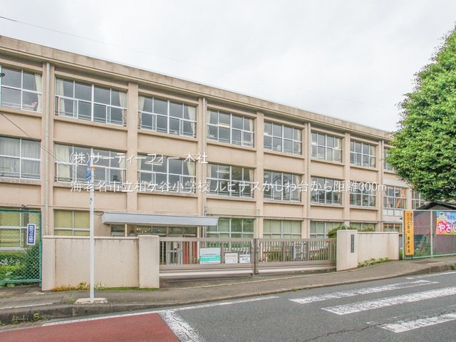 海老名市立柏ケ谷小学校 撮影日(2023-06-15) 300m