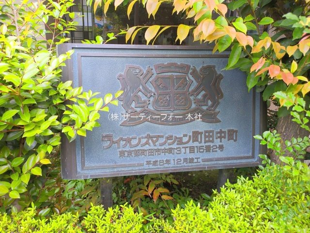 撮影日(2025-05-14 00:00:00)