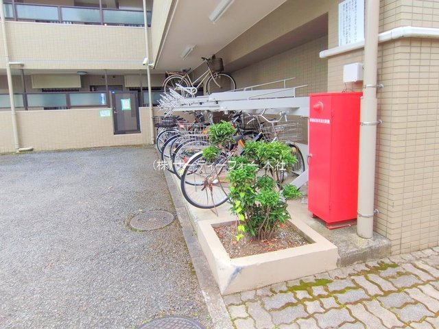 撮影日(2025-05-14 00:00:00)