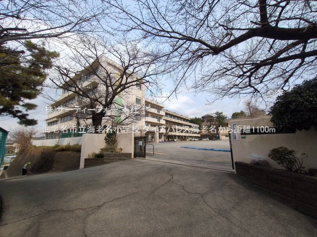 海老名市立海老名小学校 撮影日(2025-03-24) 1100m