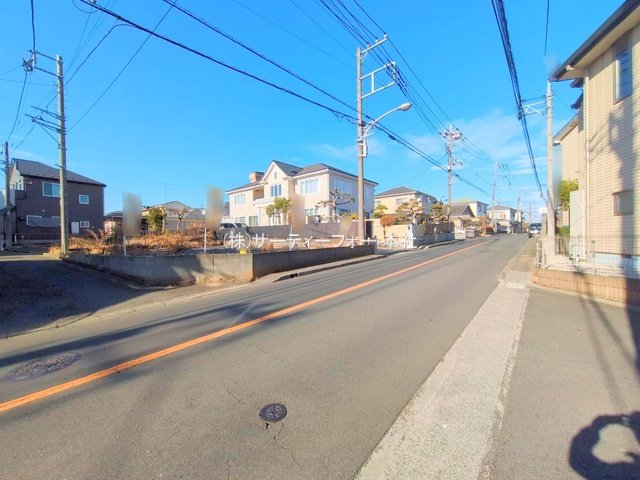 撮影日(2025-02-12 00:00:00)