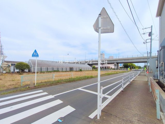 撮影日(2025-05-15 00:00:00)