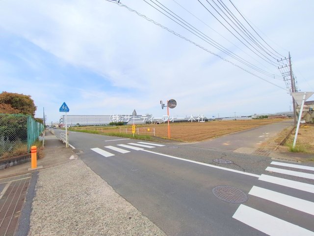 撮影日(2025-05-15 00:00:00)