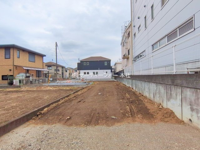 撮影日(2025-03-11 00:00:00)