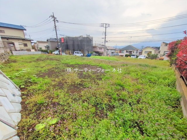撮影日(2025-04-11 00:00:00)