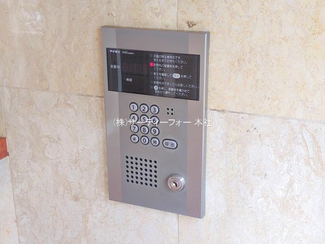撮影日(2025-04-11 00:00:00)