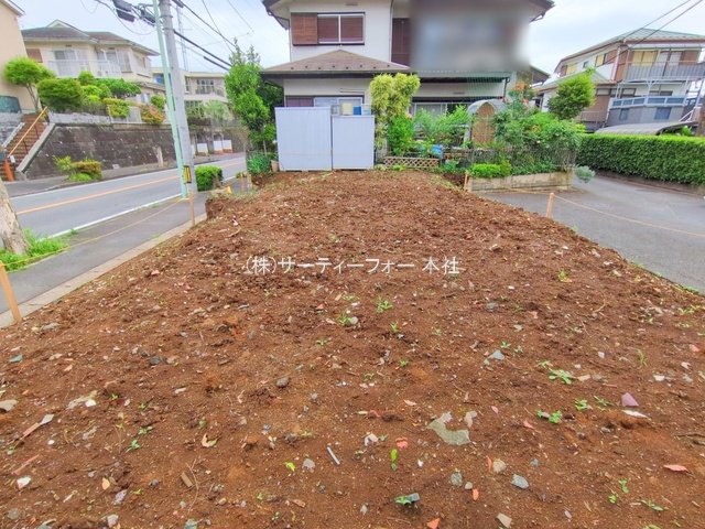 撮影日(2025-05-12 00:00:00)