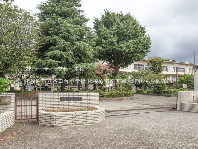 相模原市立谷口台小学校 撮影日(2024-08-22) 700m