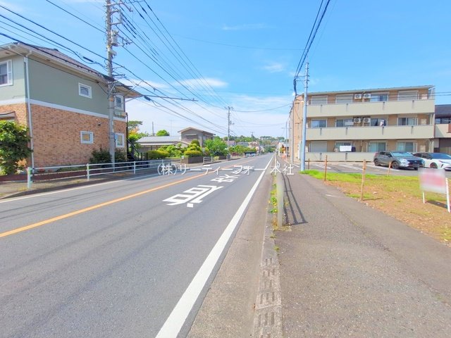 撮影日(2025-05-14 00:00:00)