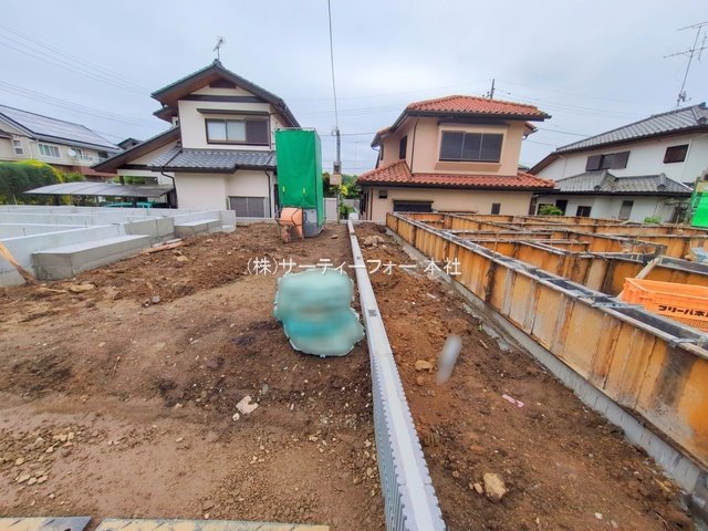 撮影日(2025-05-19 00:00:00)