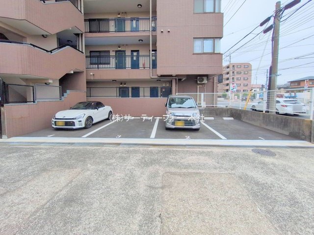 撮影日(2025-05-19 00:00:00)