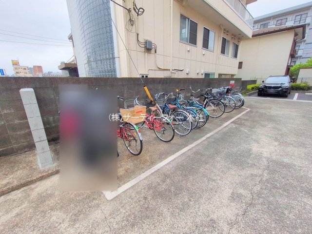 撮影日(2025-05-19 00:00:00)