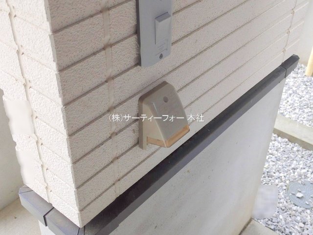 撮影日(2025-05-06 00:00:00)