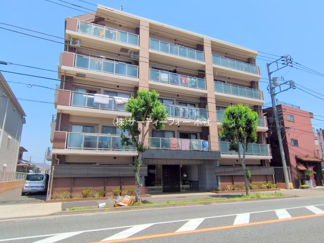 撮影日(2025-05-20 00:00:00)
