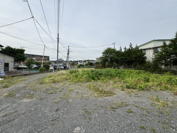 現地写真