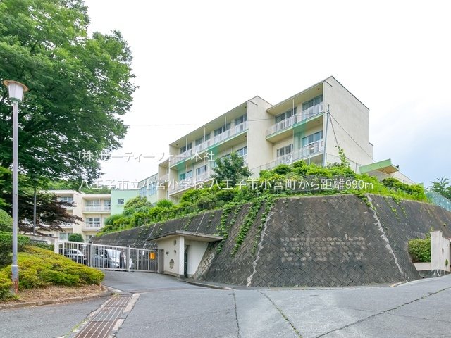 八王子市立小宮小学校 撮影日(2022-06-22) 990m