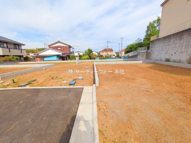 撮影日(2025-05-15 00:00:00)