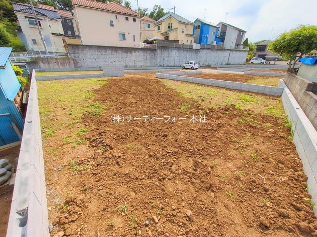 撮影日(2025-05-15 00:00:00)