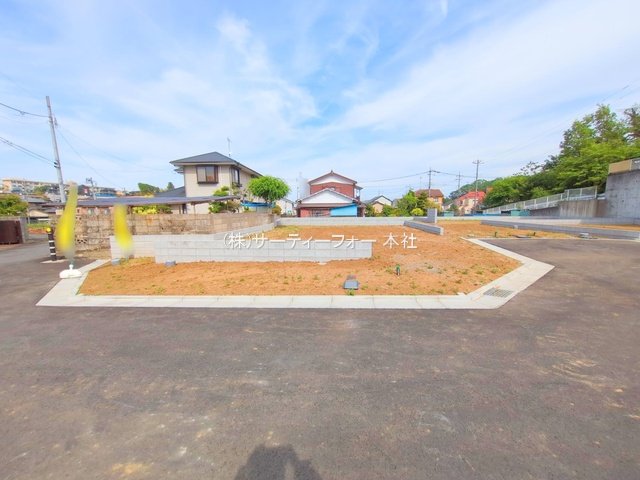 撮影日(2025-05-15 00:00:00)