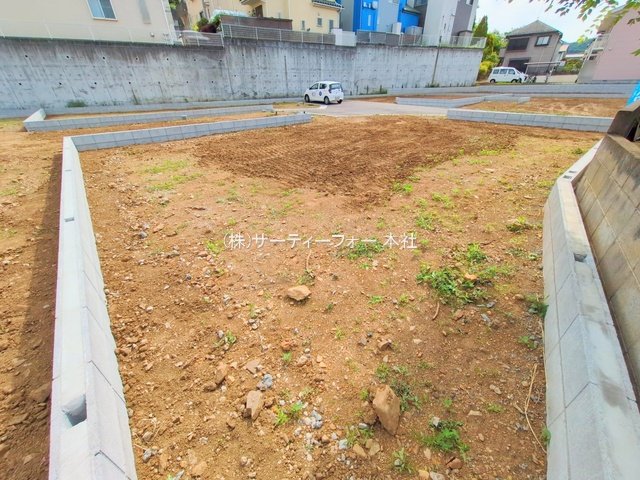 撮影日(2025-05-15 00:00:00)