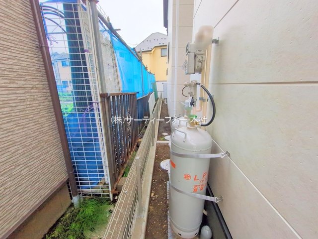 撮影日(2025-05-19 00:00:00)