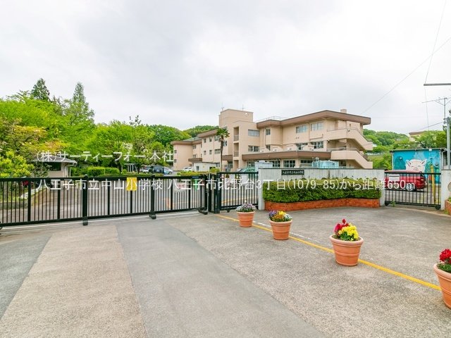 八王子市立中山小学校 撮影日(2022-04-26) 650m