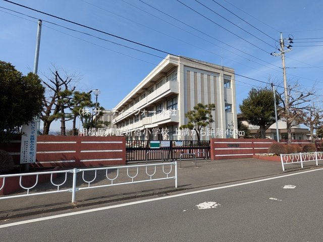 相模原市立新宿小学校 撮影日(2025-03-14) 450m