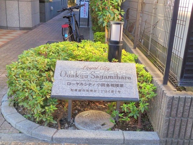 撮影日(2024-11-07 00:00:00)