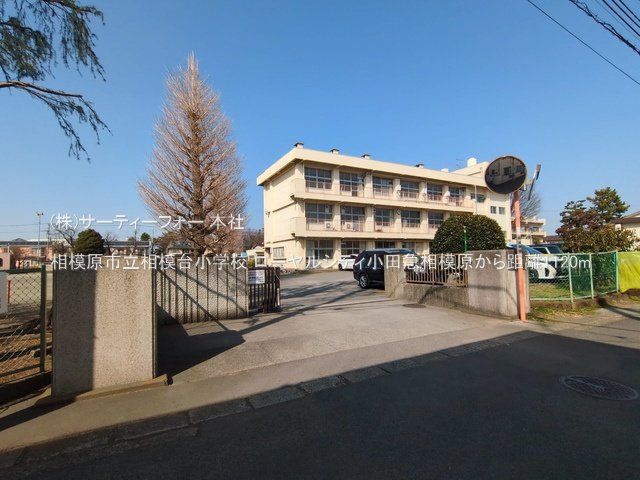 相模原市立相模台小学校 撮影日(2025-03-14) 1120m
