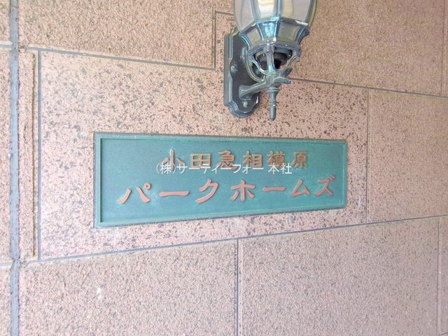 撮影日(2025-05-21 00:00:00)