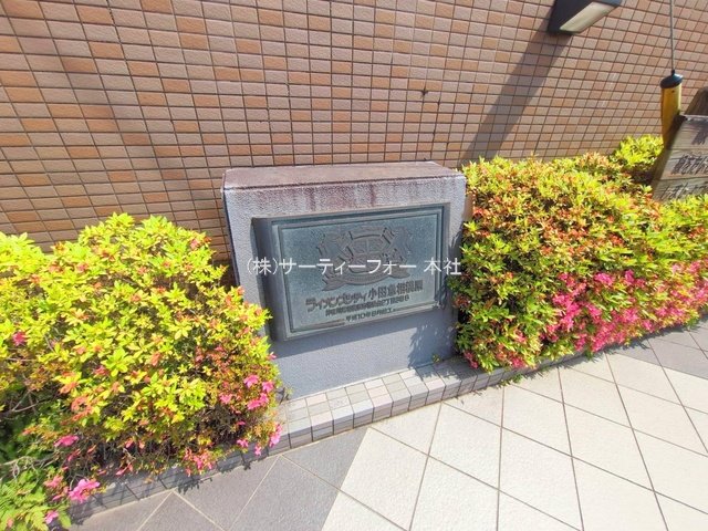 撮影日(2025-05-21 00:00:00)