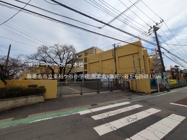 海老名市立東柏ケ谷小学校 撮影日(2025-03-13) 110m