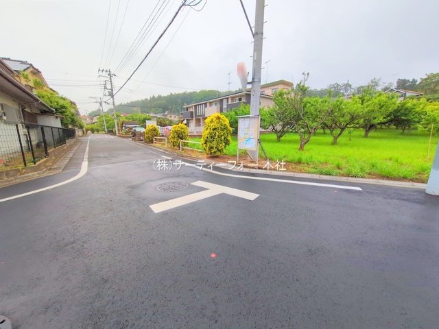 撮影日(2025-05-19 00:00:00)